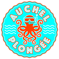 Auchel Plongée